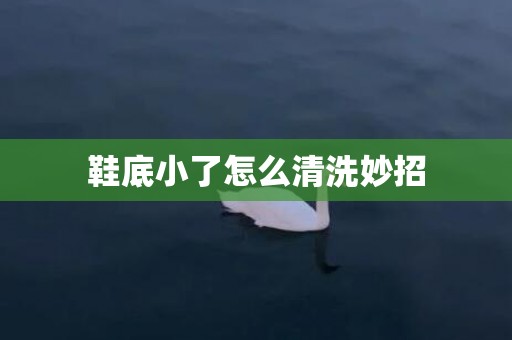 鞋底小了怎么清洗妙招