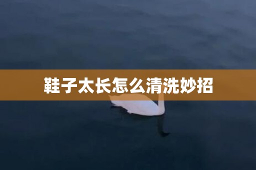 鞋子太长怎么清洗妙招