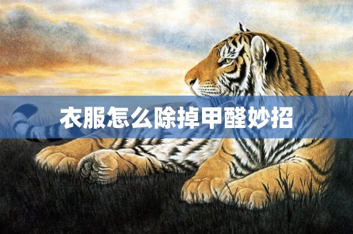 衣服怎么除掉甲醛妙招