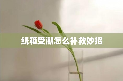 纸箱受潮怎么补救妙招