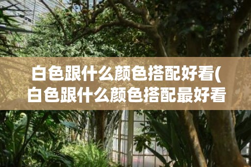 白色跟什么颜色搭配好看(白色跟什么颜色搭配最好看做包装盒的)