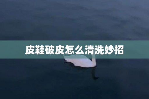 皮鞋破皮怎么清洗妙招