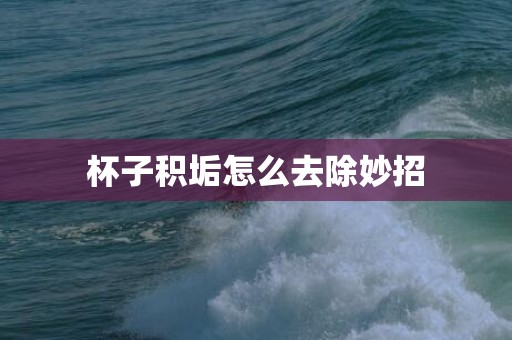 杯子积垢怎么去除妙招