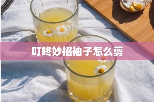 叮咚妙招袖子怎么剪