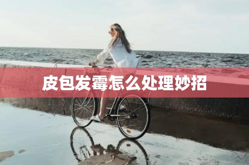 皮包发霉怎么处理妙招