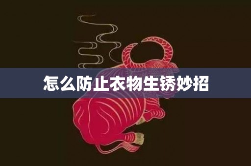怎么防止衣物生锈妙招