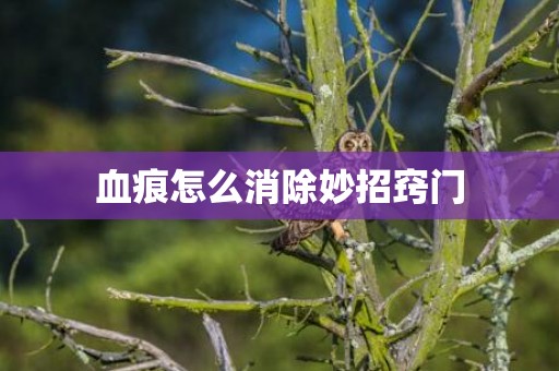 血痕怎么消除妙招窍门