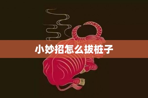 小妙招怎么拔桩子