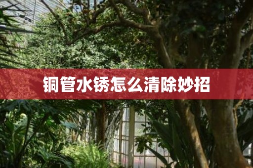 铜管水锈怎么清除妙招