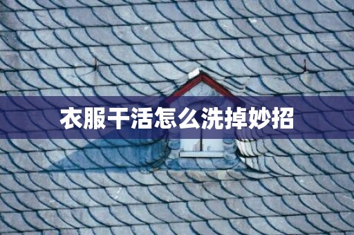 衣服干活怎么洗掉妙招