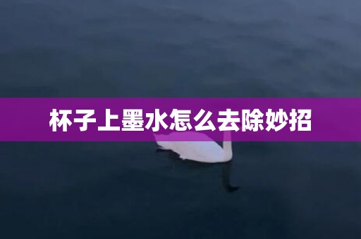 杯子上墨水怎么去除妙招
