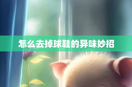 怎么去掉球鞋的异味妙招