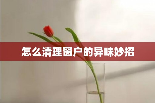 怎么清理窗户的异味妙招