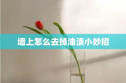 墙上怎么去掉油渍小妙招