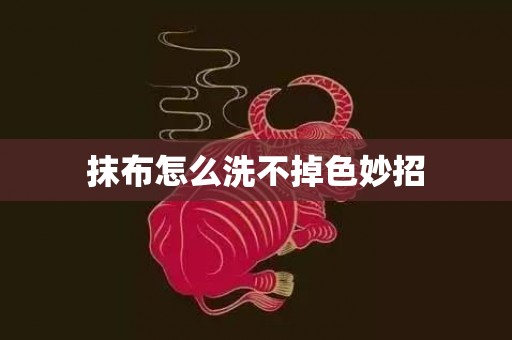 抹布怎么洗不掉色妙招