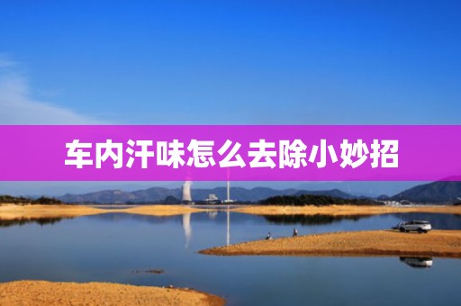 车内汗味怎么去除小妙招