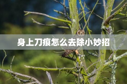 身上刀痕怎么去除小妙招