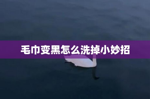 毛巾变黑怎么洗掉小妙招