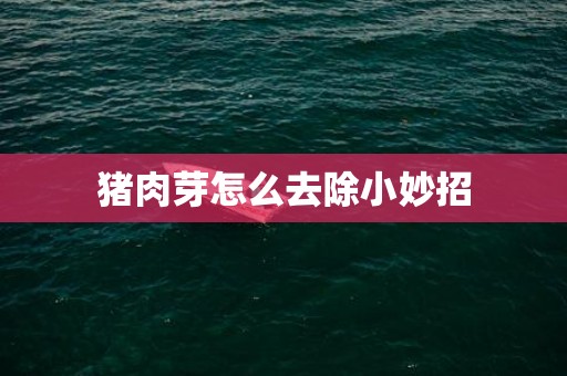 猪肉芽怎么去除小妙招