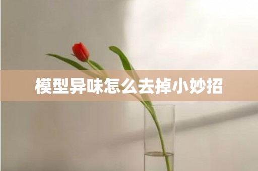 模型异味怎么去掉小妙招