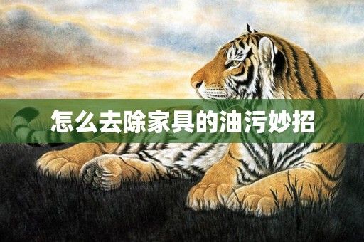 怎么去除家具的油污妙招