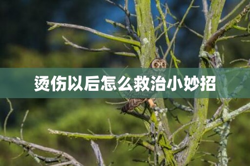 烫伤以后怎么救治小妙招