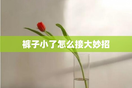 裤子小了怎么接大妙招