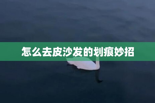 怎么去皮沙发的划痕妙招