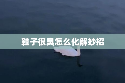 鞋子很臭怎么化解妙招
