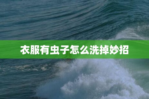 衣服有虫子怎么洗掉妙招