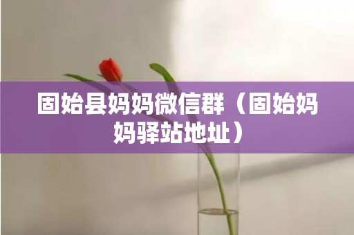固始县妈妈微信群（固始妈妈驿站地址）