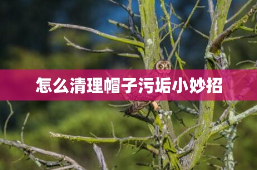 怎么清理帽子污垢小妙招