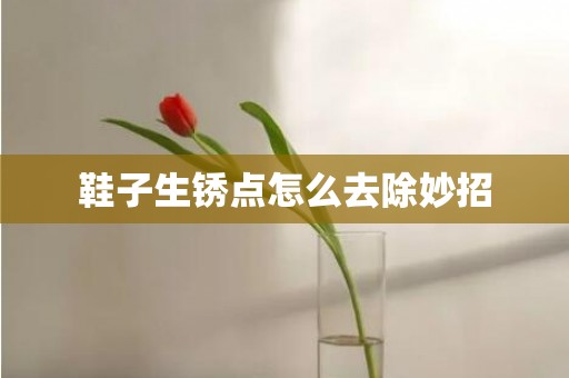 鞋子生锈点怎么去除妙招