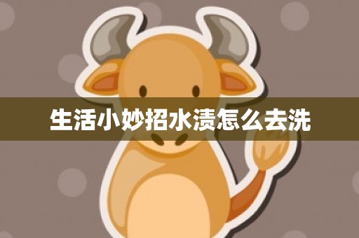 生活小妙招水渍怎么去洗