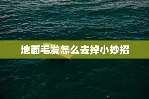 地面毛发怎么去掉小妙招