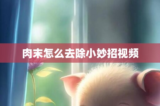 肉末怎么去除小妙招视频