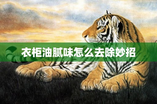 衣柜油腻味怎么去除妙招