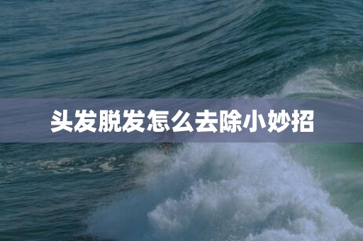 头发脱发怎么去除小妙招