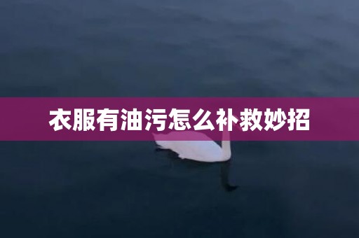 衣服有油污怎么补救妙招