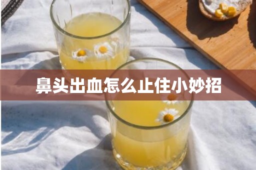 鼻头出血怎么止住小妙招
