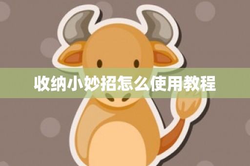 收纳小妙招怎么使用教程