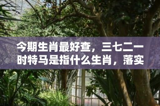 今期生肖最好查，三七二一时特马是指什么生肖，落实经典词语