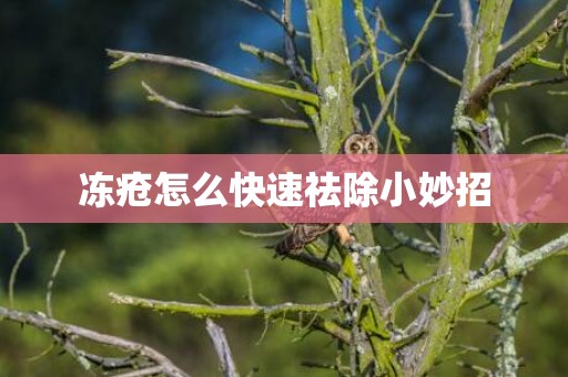 冻疮怎么快速祛除小妙招