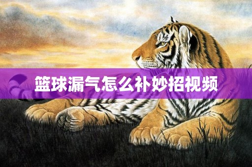 篮球漏气怎么补妙招视频