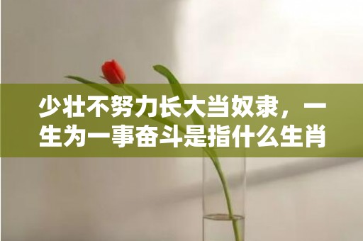 少壮不努力长大当奴隶，一生为一事奋斗是指什么生肖，落实经典词语
