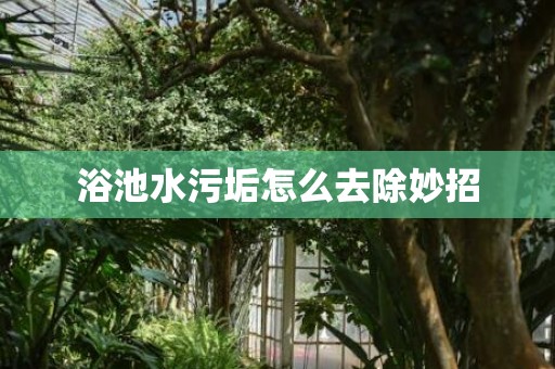 浴池水污垢怎么去除妙招
