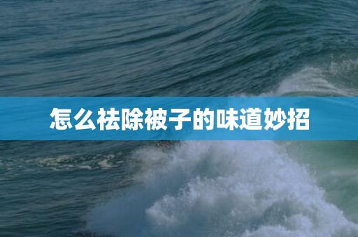怎么祛除被子的味道妙招