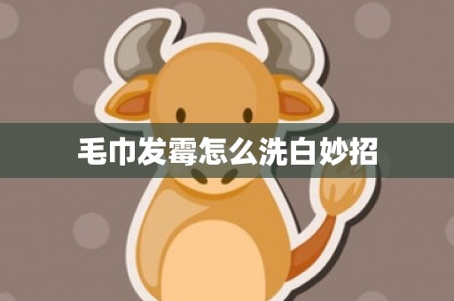 毛巾发霉怎么洗白妙招
