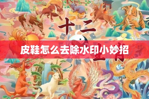皮鞋怎么去除水印小妙招