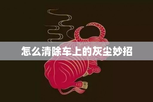 怎么清除车上的灰尘妙招